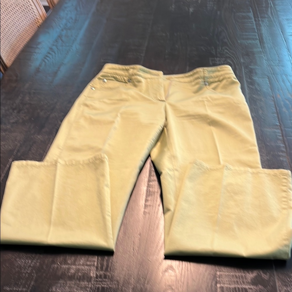 Giorgio Armani Pale Green Boot Cut Flare Pants